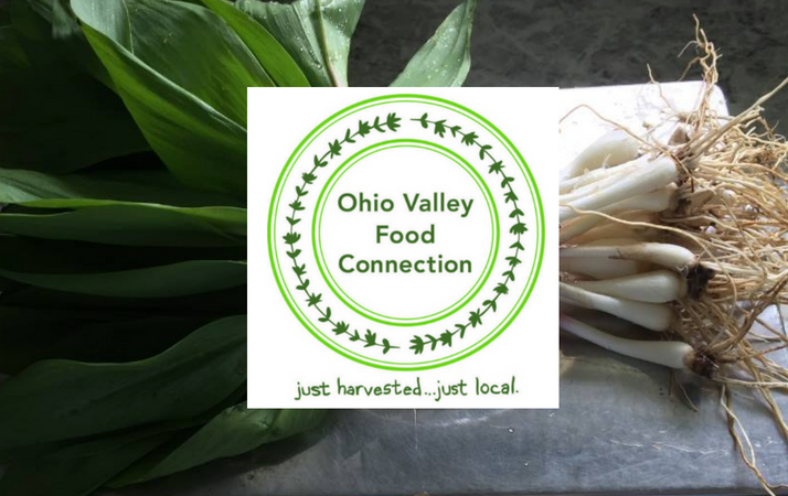 Ohio Valley Food Connection 